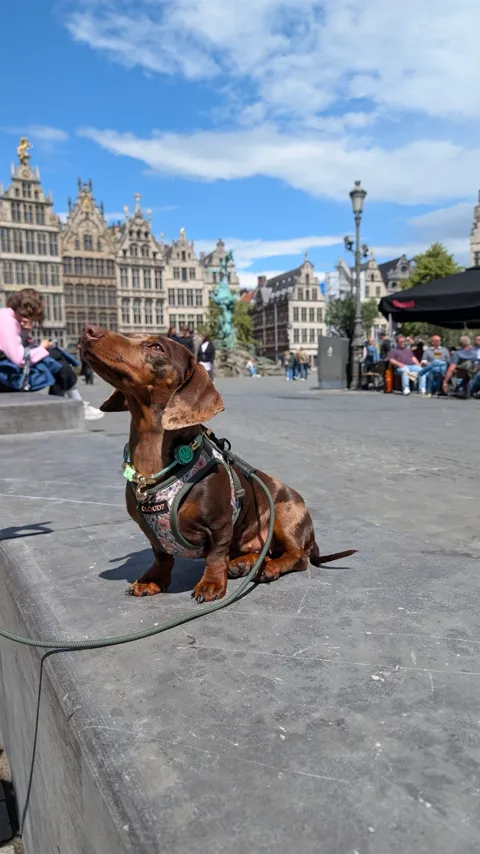 Celine zit op de Grote Markt van Antwerpen, met de gildehuizen en de Brabofontein op de achtergrond