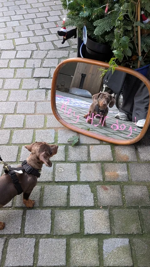 Celine voor een spiegel met de tekst Hey hot dog