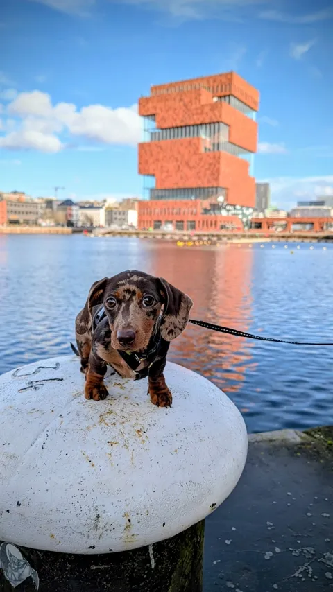 Celine op een meerpaal aan het water, met het MAS op de achtergrond