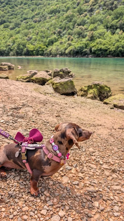 Celine in haar roze tuigje aan het water, met beboste heuvels op de achtergrond