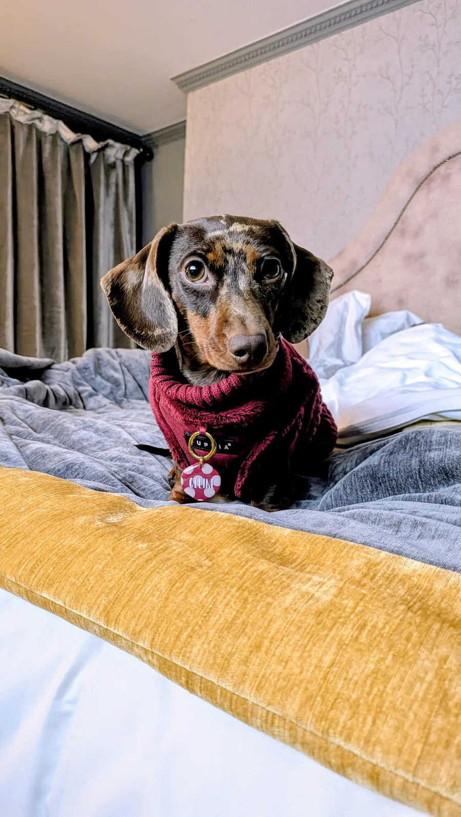 Celine op het hotelbed bij Juliana Hotel Brussels