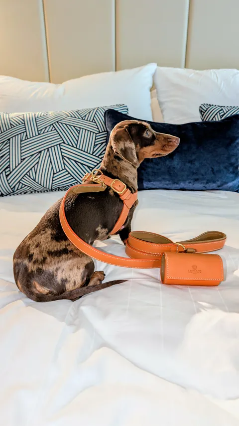 Celine ontspant op het bed in de kamer van Hotel Kö59