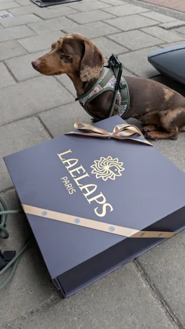 Celine naast haar Laelaps Paris-cadeaubox