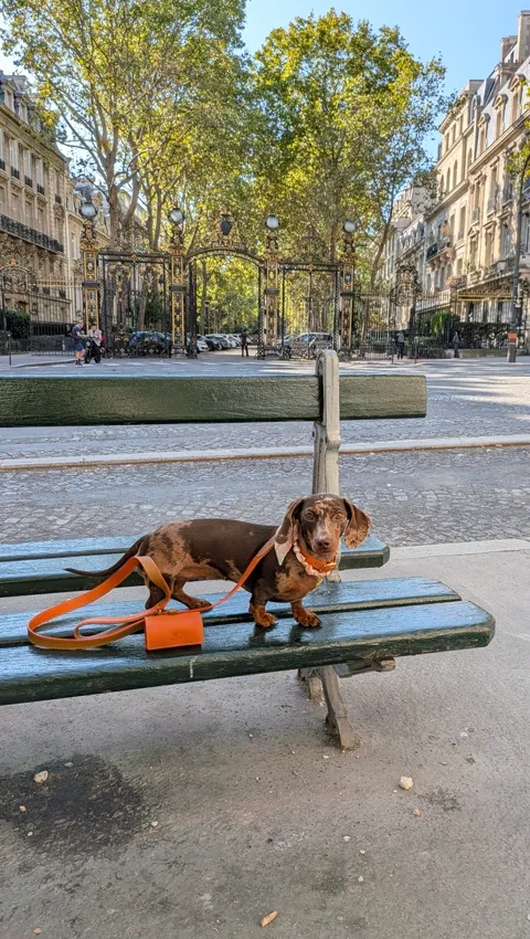 Op een bankje bij het Parc Monceau in Parijs