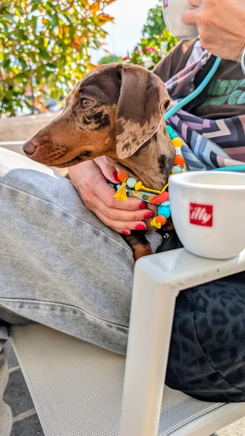 Celine op schoot naast een kop koffie op een terras aan het Gardameer