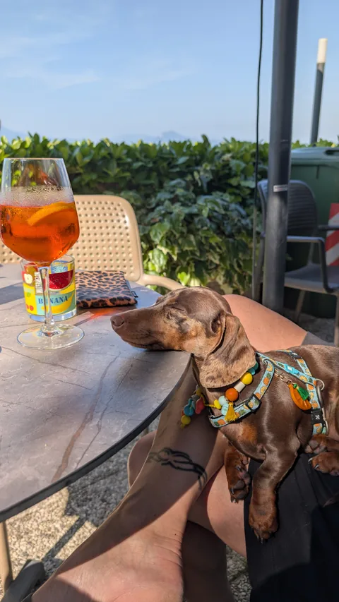 Celine ontspant naast een spritz bij Braccobaldo Beach