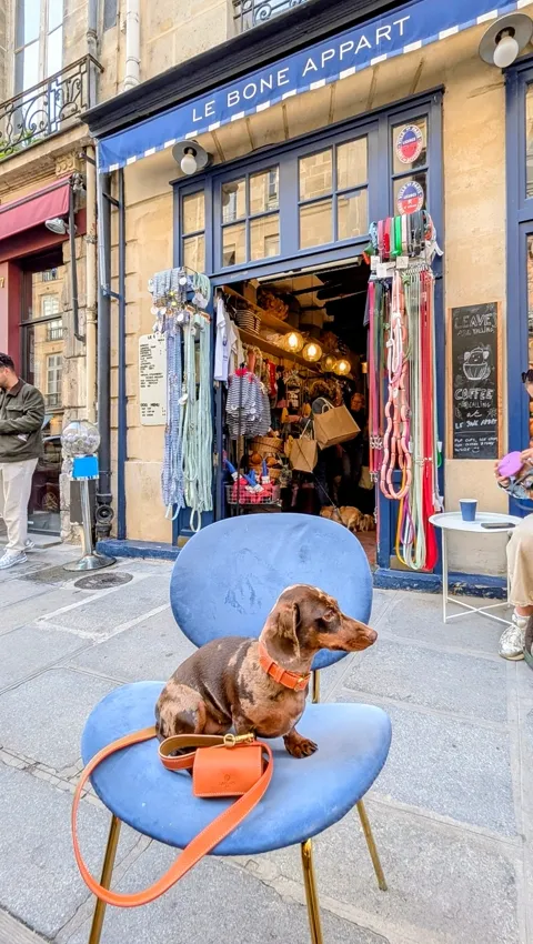 Celine op een blauwe stoel voor Le Bone Appart in Parijs