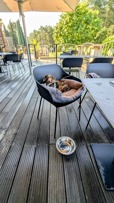 Celine in haar reismand op het terras van Stiemerheide