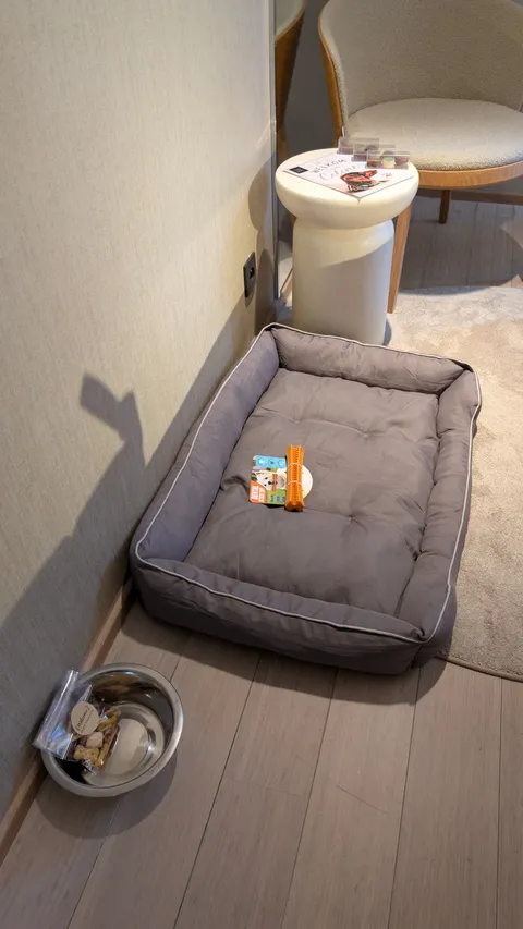 Hondenmand met kauwspeeltje, voerbak met koekjes en een welkomstkaart voor Celine op de kamer bij Stiemerheide