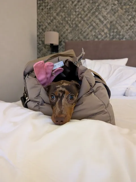 Celine kijkt uit haar reistas op het hotelbed