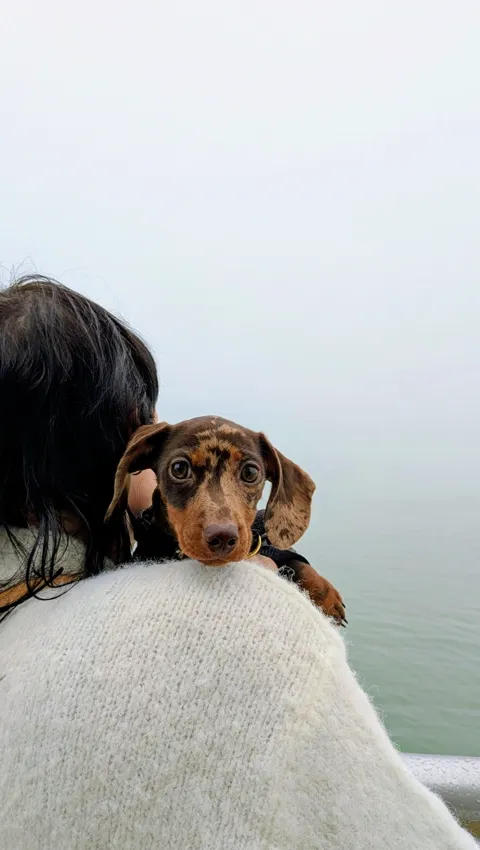 Celine kijkt over een schouder op het dek van de veerboot naar Texel, met mist boven het water