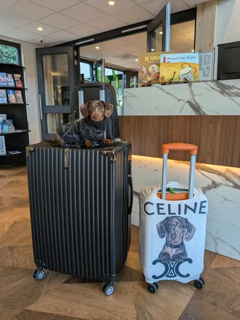 Celine op een zwarte koffer in de lobby van Eilandhotel Texel, naast een koffer met haar eigen portret