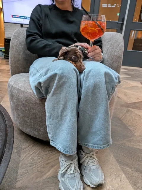 Celine ligt op schoot in de lounge van Eilandhotel Texel, naast een glas spritz